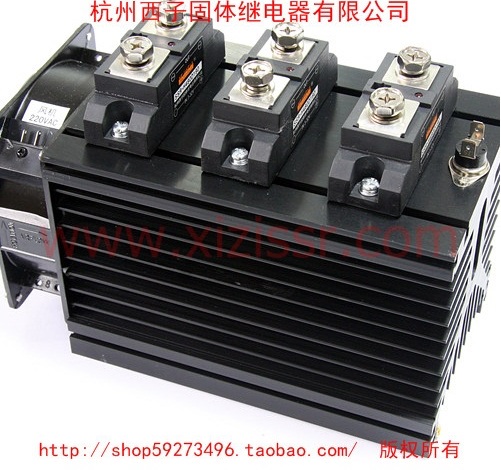 ɢ���������